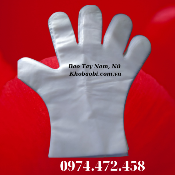 Bao Tay Nilon 