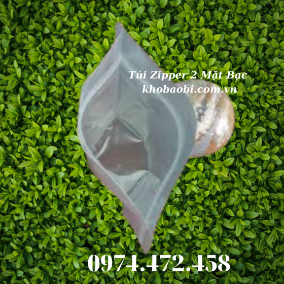 Túi Zipper 2 Mặt Bạc 