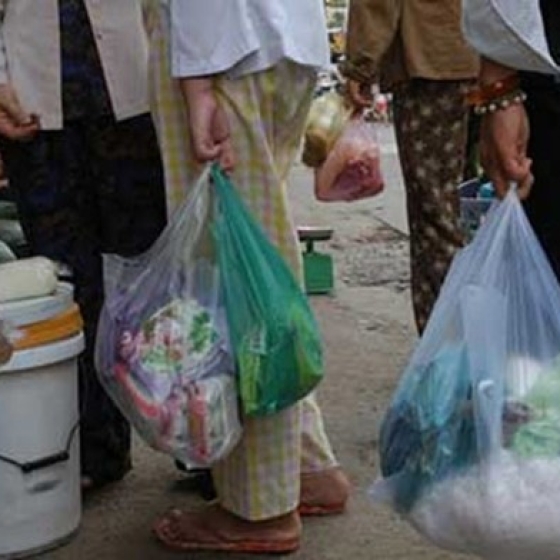 Túi Mỡ Màu Đẹp 