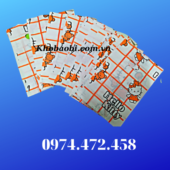 Túi HD Xoài In Bông Mẫu 4