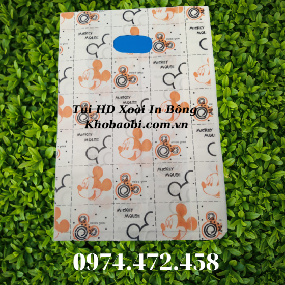 Túi HD Xoài In Bông Mẫu 3