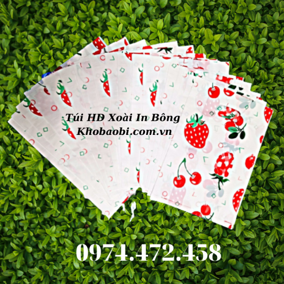 Túi HD Xoài In Bông Mẫu 3