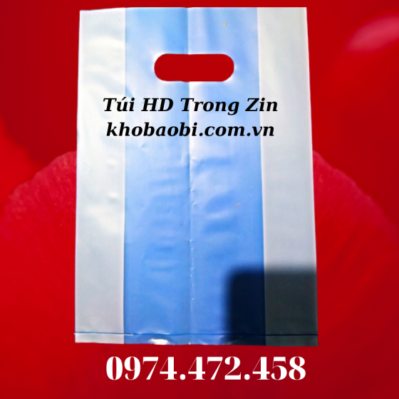 Túi Hột Xoài HD Trong Zin 