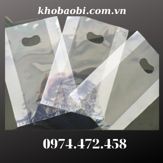 Túi Hột Xoài PE Trong Suốt