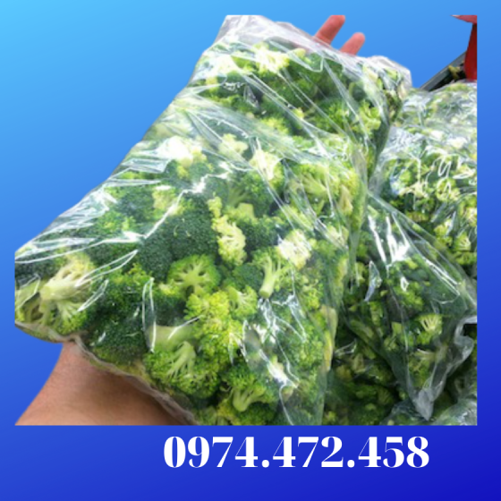 In Túi PE Giá Mầm Đậu Xanh