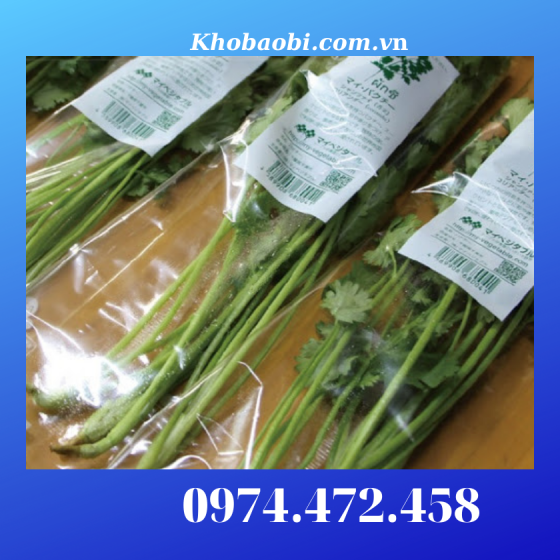 In Túi PE Giá Mầm Đậu Xanh