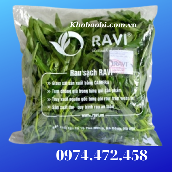 In Túi PE Giá Mầm Đậu Xanh