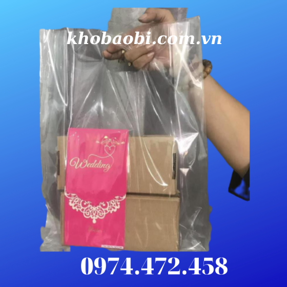 Túi Hột Xoài PE Trong Suốt